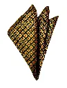 VPSB086C.webp