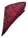 VCR2077F.webp