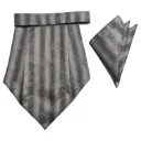 VOICI France Mens Paisley Cravat ascot NeckTie Pocket Square Microfiber Fabric Free Size