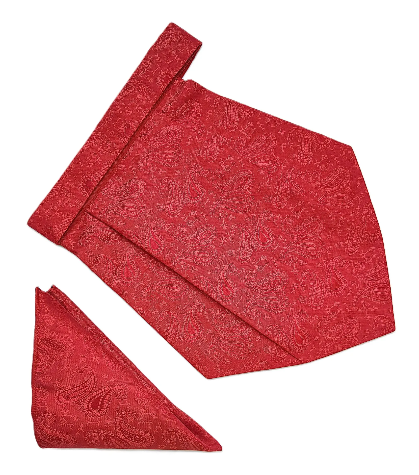 VOICI France Mens Paisley Cravat ascot NeckTie Pocket Square Microfiber Fabric Free Size