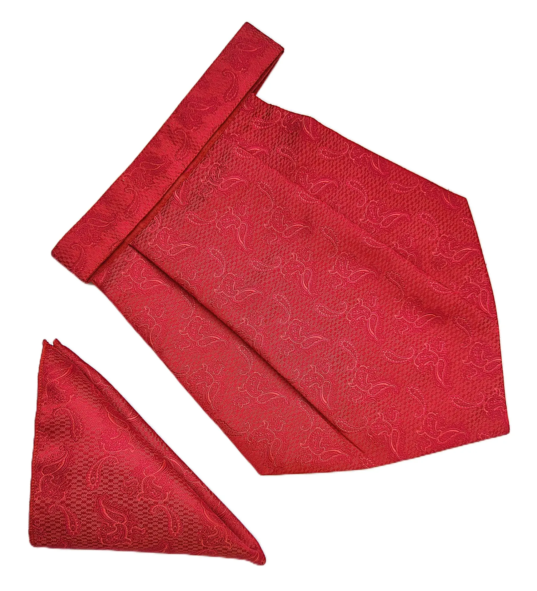 VOICI France Mens Paisley Cravat ascot NeckTie Pocket Square Microfiber Fabric Free Size