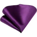 VOICI France Men's Pocket Square handkerchief soiled and Paisley Self-Design Satin Free Size (Purple)